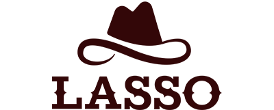 Lasso Security logo